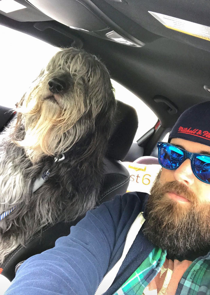 This Is Ben. He Has A Beard. And He Is Human-Sized. We Get Fun Looks In Traffic