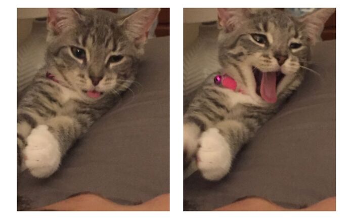 Caught Her Mid Yawn/Sneeze