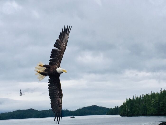 My Uncle Captured This On An iPhone In Alaska