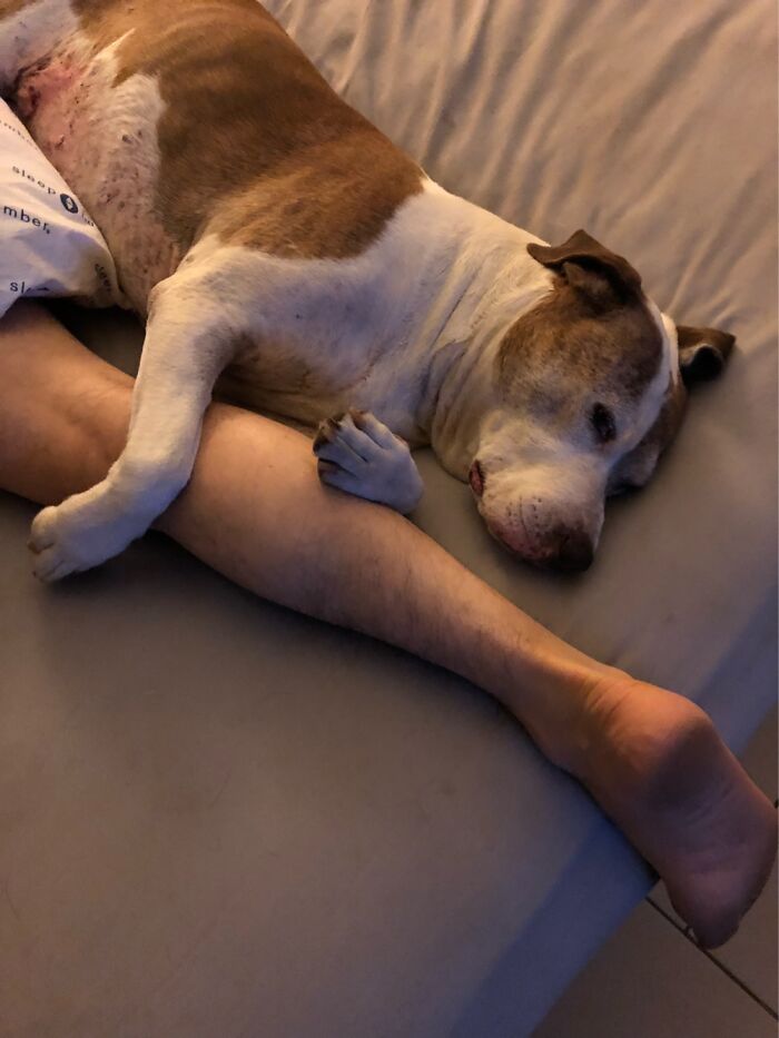At Home... At Home...