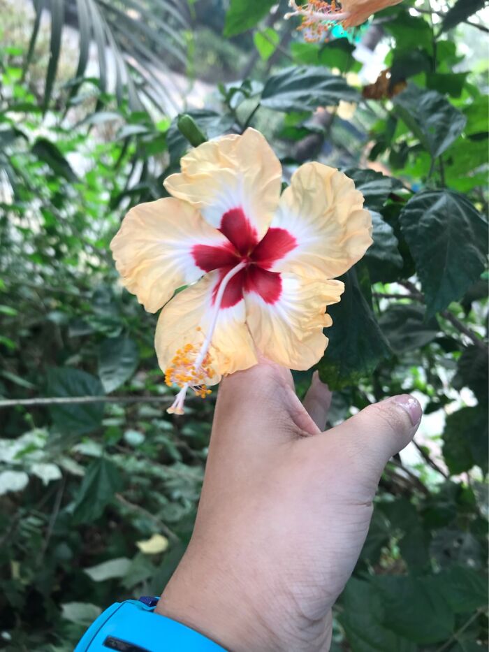 Natures Art Natures Art