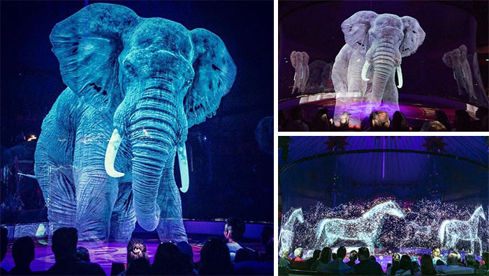 A German Circus Is Using Holograms Instead Of Live Animals For A Cruelty-Free Magical Experience. And It's Cool