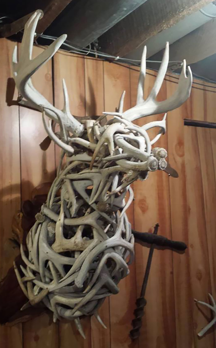 The Product Of 15 Years Collecting Shedded Antlers From The Woods