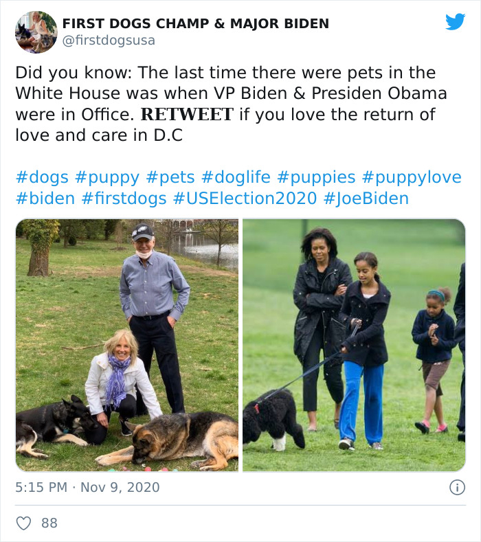 Joe Biden’s Dogs Have Twitter And Instagram Accounts And The Content Is Wholesome