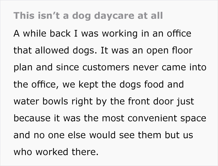 For Months, This Woman Mistakenly Kept Leaving Her Dog At This Office Thinking It's A Dog Daycare