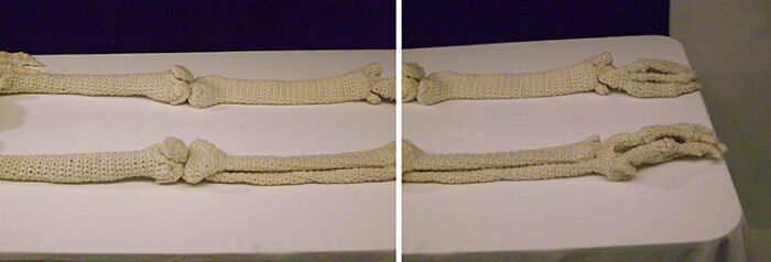 That Is The Life-Size Anatomically Right Skeleton With Detachable Organs Crocheted In 7 Months By Canadian Artist !