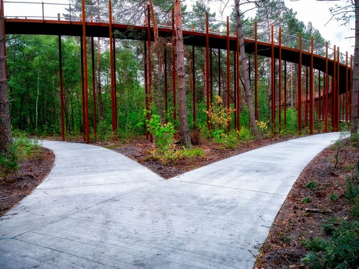 This 360-Degree Pathway In Belgium Lets You Cycle Through The Trees 32 Ft Above The Ground