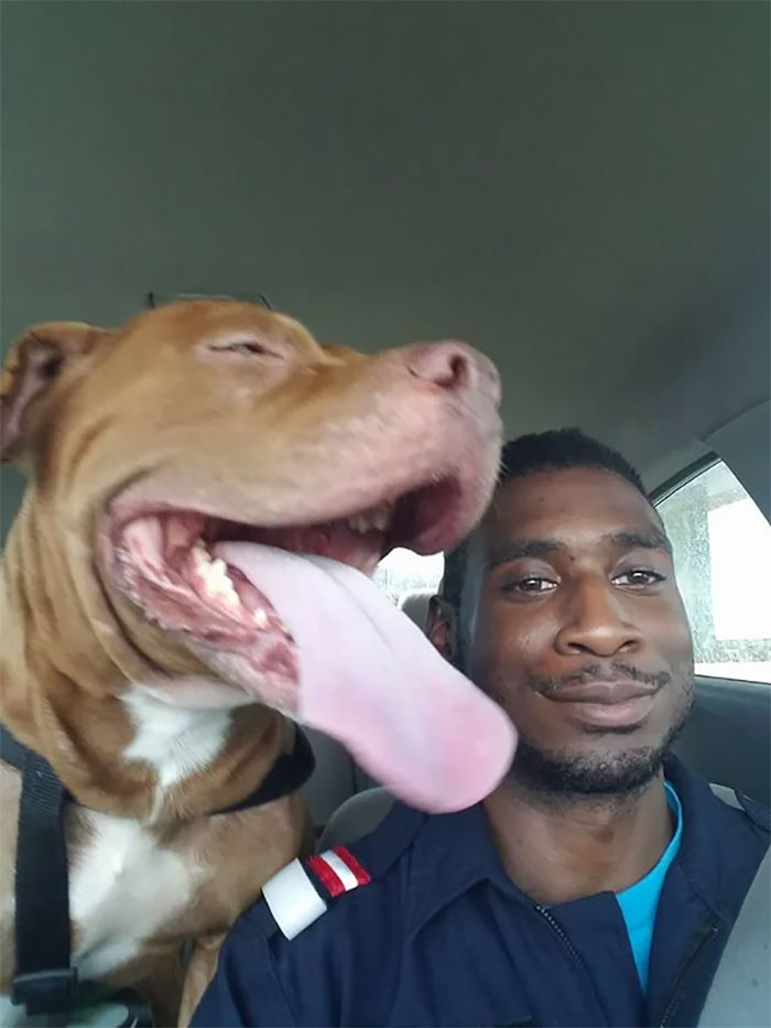My Friend Found His Lost Dog After 2 Days Apart. First Pic Of Them Reunited