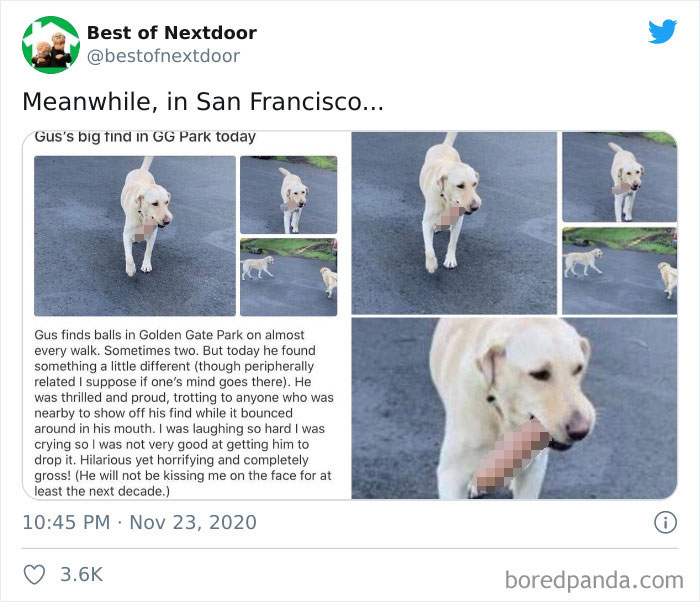 Neighbours-Nextdoor-Tweets