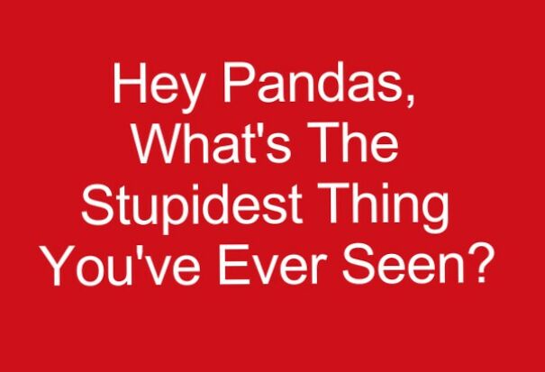 Hey Pandas, What's The Stupidest Thing You've Ever Seen?