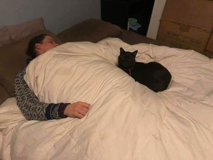 My House, My Wife, My Bed. Not My Cat