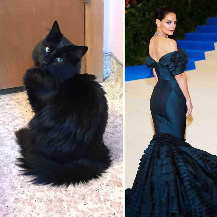 On The Right, Dress By Zac Posen. On The Left, Furr By De Gato