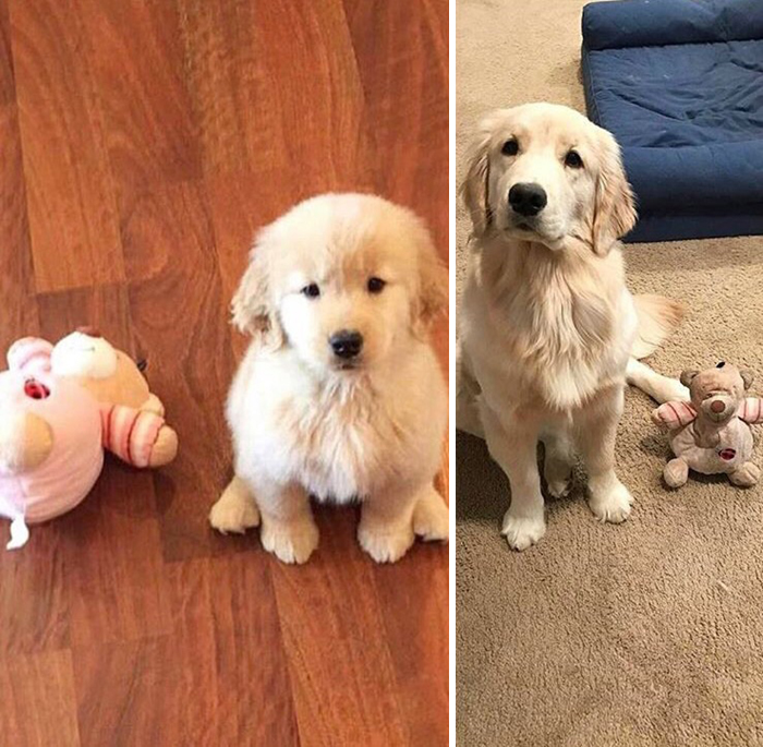 All These Years Later And It's Still Her Favourite Toy