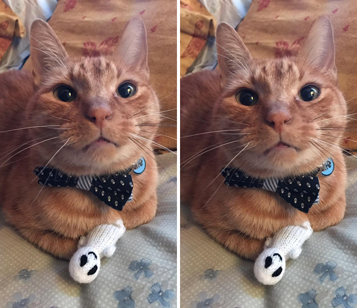 Twenty Year Old Mister With His Favourite Ghost Toy