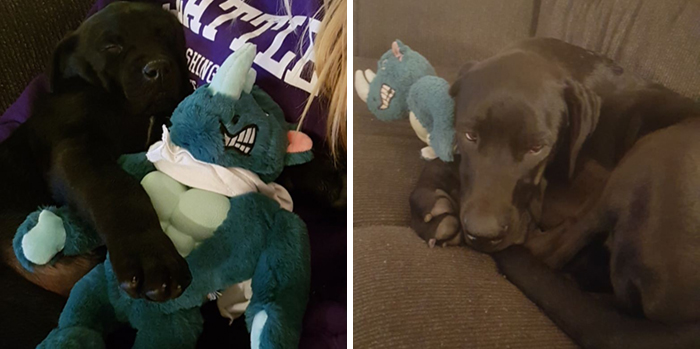 He's Destroyed Every Toy He Owns. Except For The First One He Ever Met