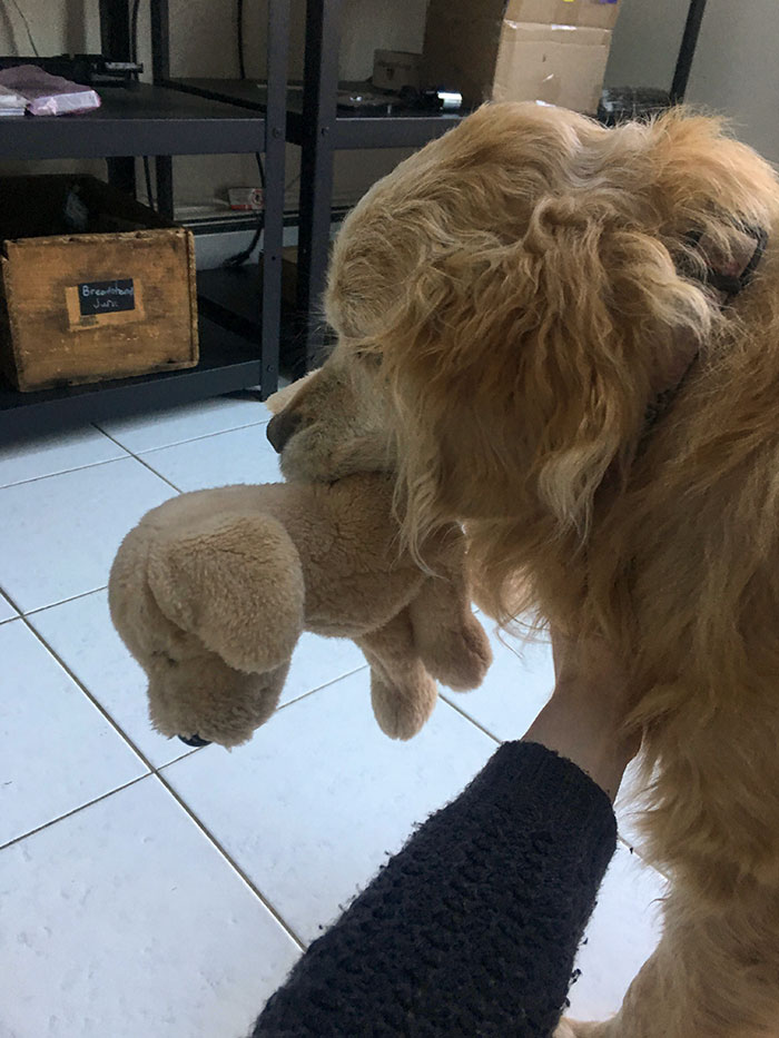 Her Favorite Toy Is A Stuffed Dog That Looks Just Like Her. Every Time I Visit She Grabs This Toy And Runs Over To Show Me
