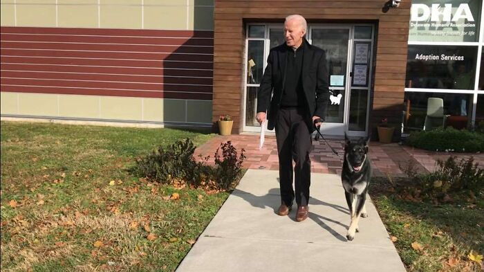 Turns Out, Joe Biden's Dog Major Will Be The First Shelter Dog To Live In The White House In History
