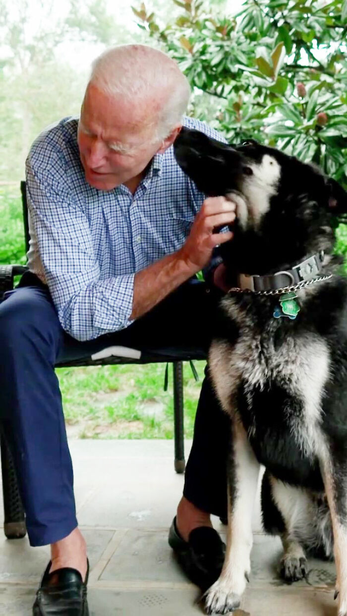 Turns Out, Joe Biden's Dog Major Will Be The First Shelter Dog To Live In The White House In History