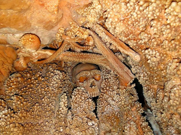 The Altamura Man, A Fossil Considered One Of The Oldest Found Remains Of A Neanderthal Man By Being At Least 128,000 Years Old