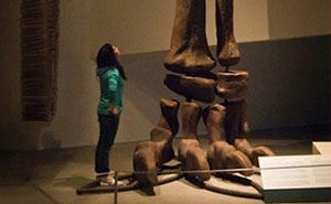 19 Ancient Fossils That Will Make People Say ‘Whoa’