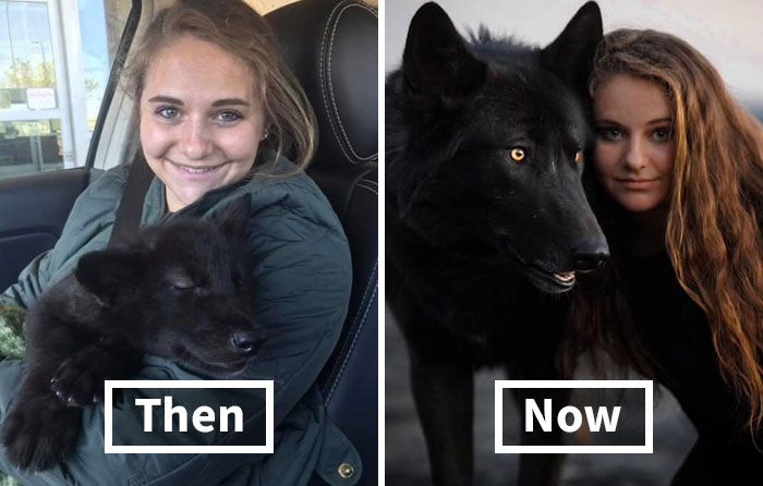 People Are Sharing How Their Pets Have Changed In A Wholesome “Then And Now” Challenge (30 Pics)
