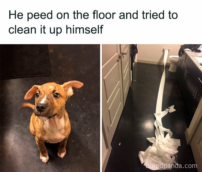 To Clean Up After Himself