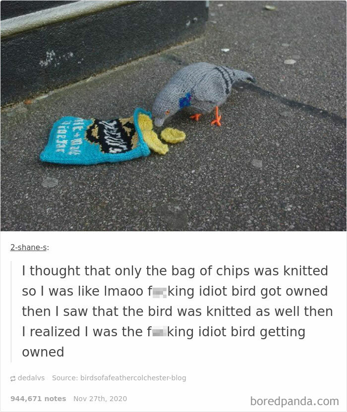 To Make Fun Of A Bird