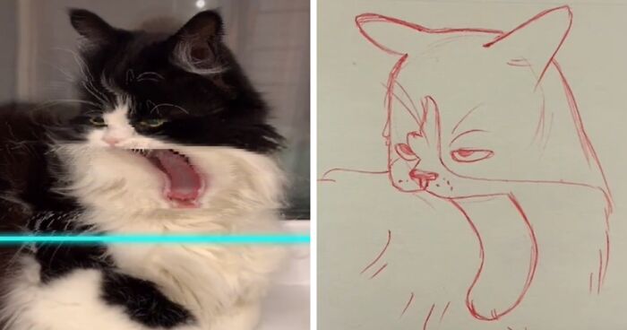17 Funny Illustrations Of Cats And Dogs After They Were Captured With The Time Warp Scan Filter Drawn By An Artist On Tiktok Bored Panda