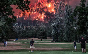 45 De las imágenes más "raras" del grupo online "WTF"