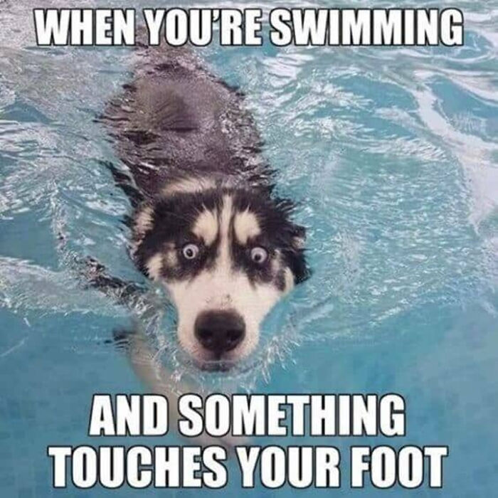 When You're Swimming