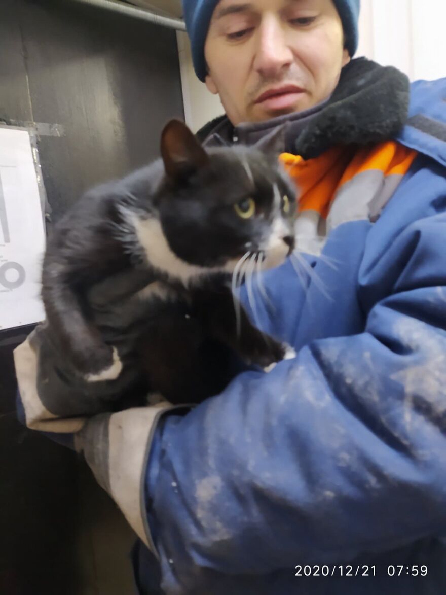 Worker Rescues Cat In A Bag Only Seconds Away From It Being Crushed By Garbage Machine