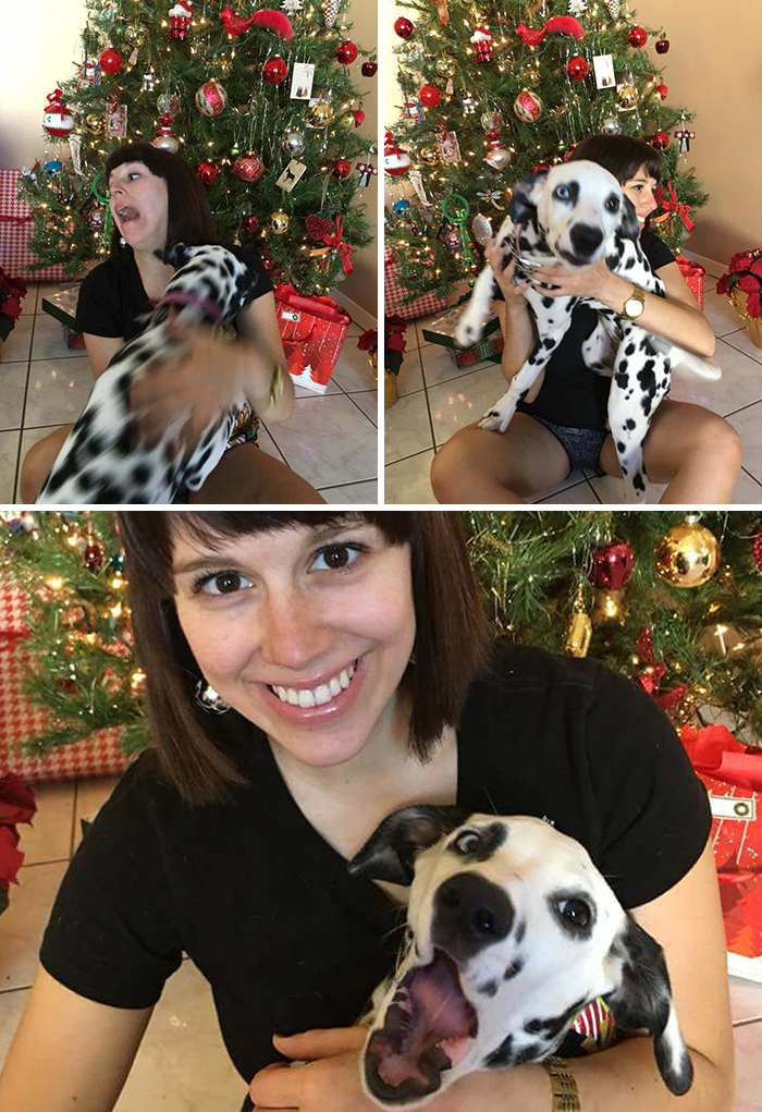 Dogs-Ruined-Christmas-Photos
