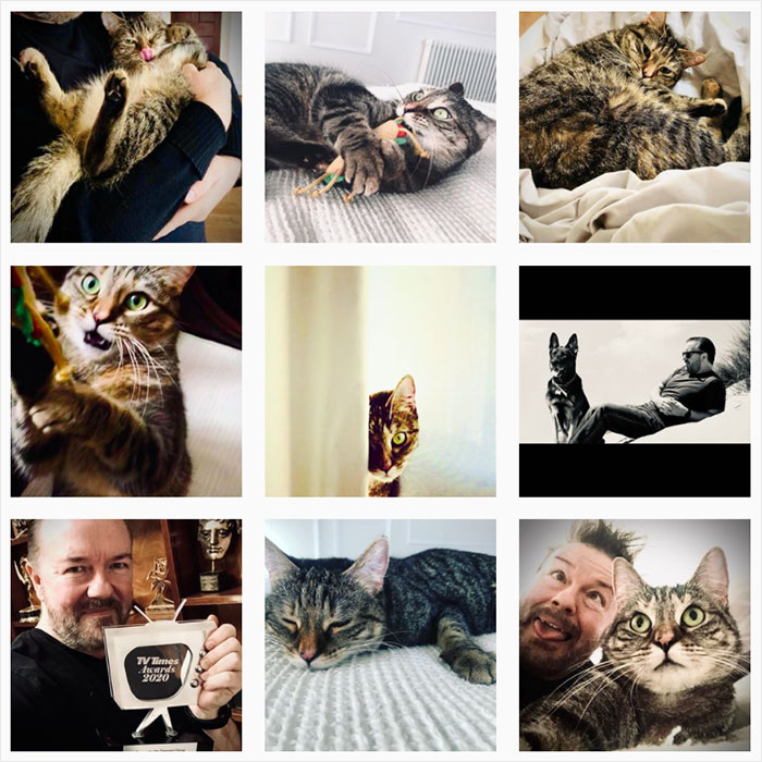 Ricky Gervais Attempts To Foster A Cat But Ends Up Adopting Her And She's Taking Over His Feed