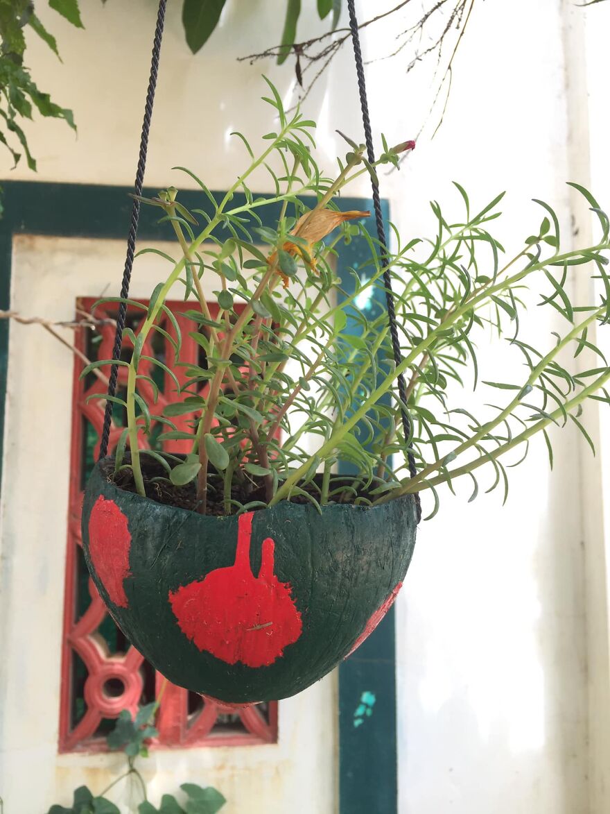 How To Recycle Coconut Shells Into Beautiful And Colorful Flower Pots
