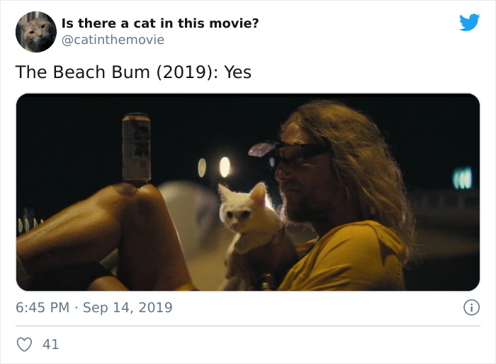 This Twitter Account Is Selecting The Movies In Which The Cats Appear