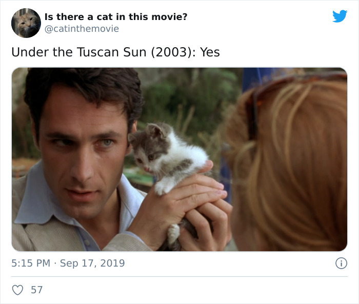 This Twitter Account Is Selecting The Movies In Which The Cats Appear