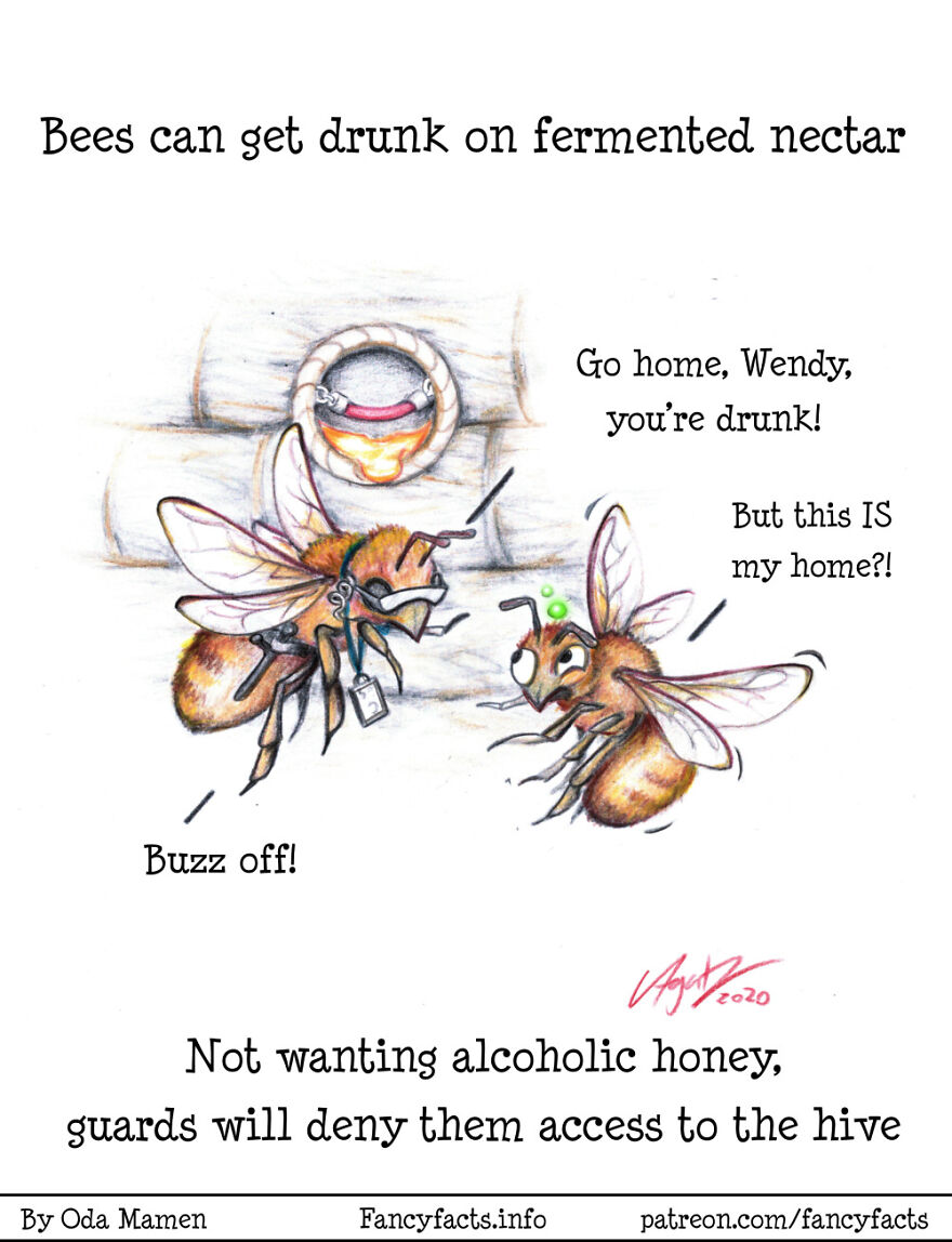 Drunk Bees