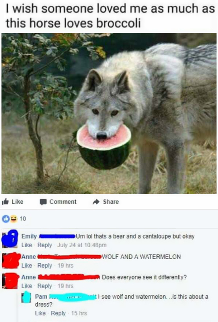 Wolf And A Watermelon