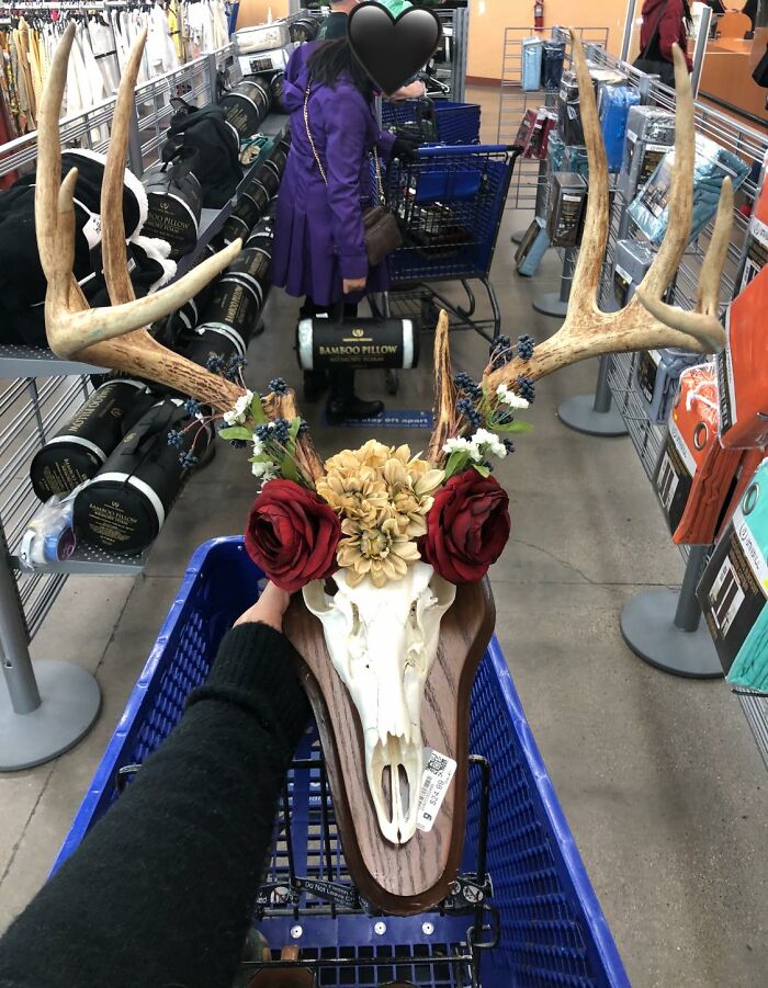 Found This Deer Skull At A Goodwill In Las Vegas, Nv. I’ve Always Wanted A Wall Of Oddities. Everyone Was Looking At Me Like I Was Out Of My Mind, And The Woman At The Register Kept Calling Me Crazy. When In Vegas!