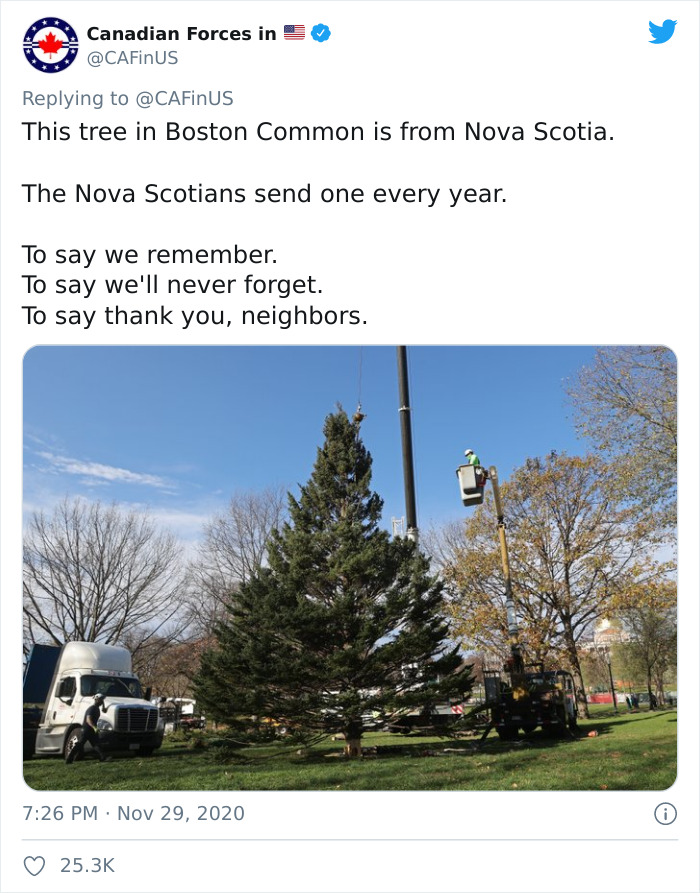 Turns Out, Each Year, Nova Scotia Sends A Christmas Tree To Boston To Honor A Century-Long Partnership
