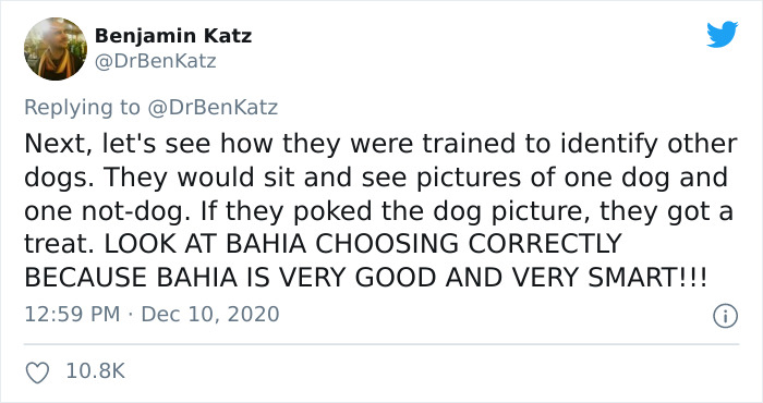 Researchers Try To Identify How Dogs Recognize Each Other, But Their Work Goes Viral For How Cute It Is