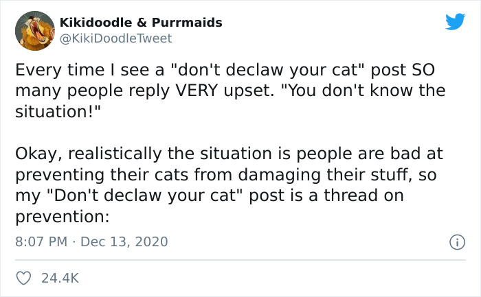 Person Shares How To Have Nice Furniture And A Happy Cat Instead Of Declawing It