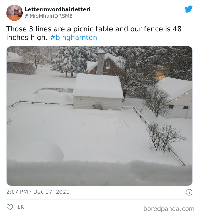 Snow-2020-Binghamton-New-York-State