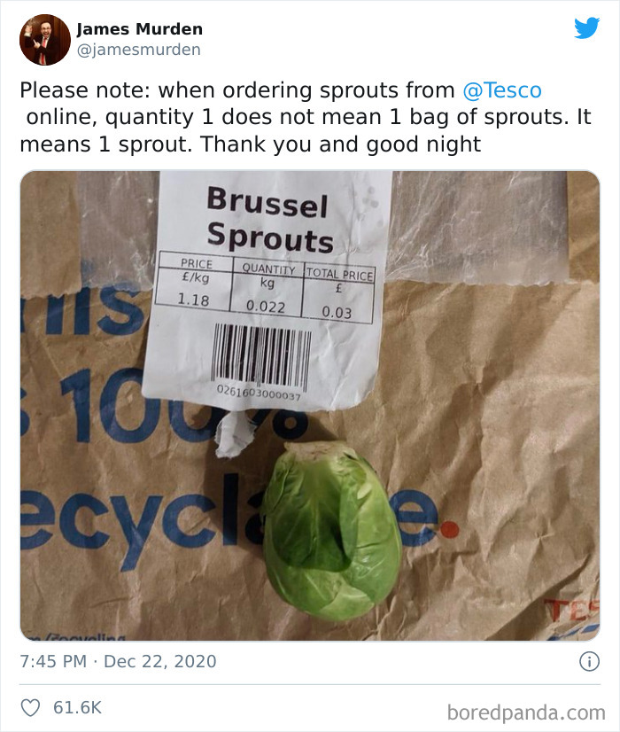 One Sprout For Christmas Dinner