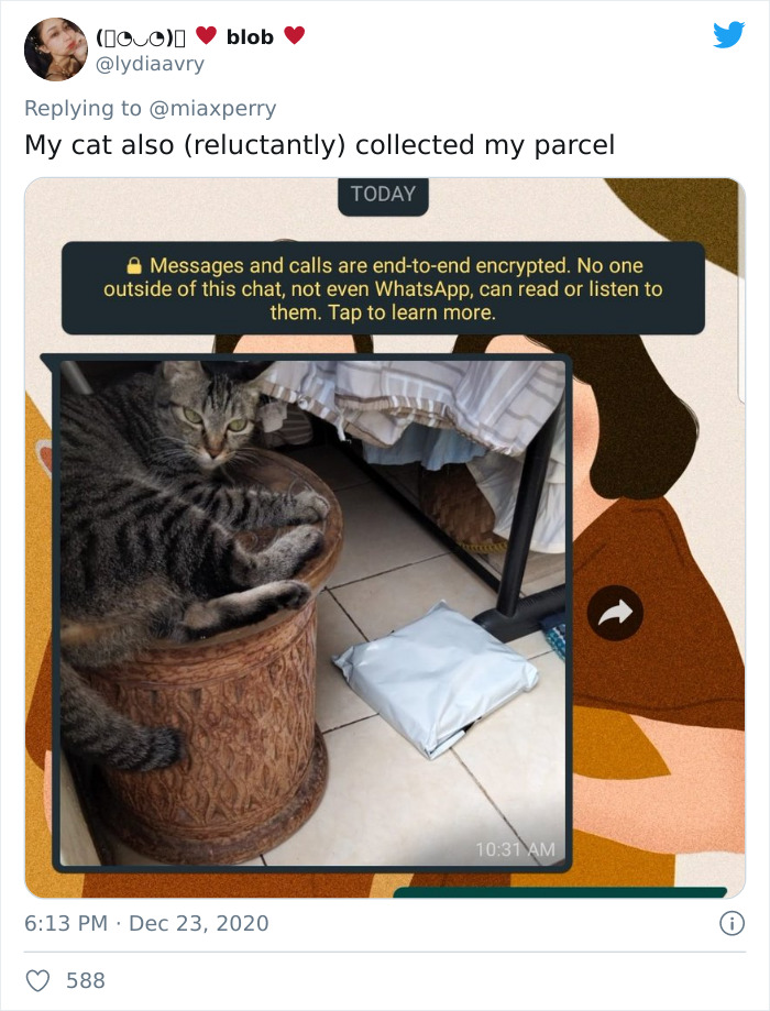 Pets-Collecting-Delivery-Items