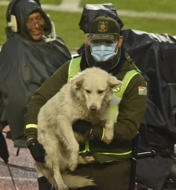 Stray Dog Interrupts A Pro Soccer Match In Bolivia, Gets Adopted By A Player Who Carried Him Off The Field