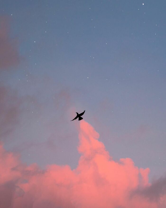 Cloud-Sky-Silhouette-Art-Lan-Nguyen