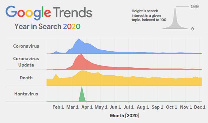 Guy Shares A 2020 Google Search Trends Infographic And It Sums Up 2020