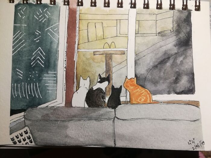 My 4 Cats Watching The Rain
