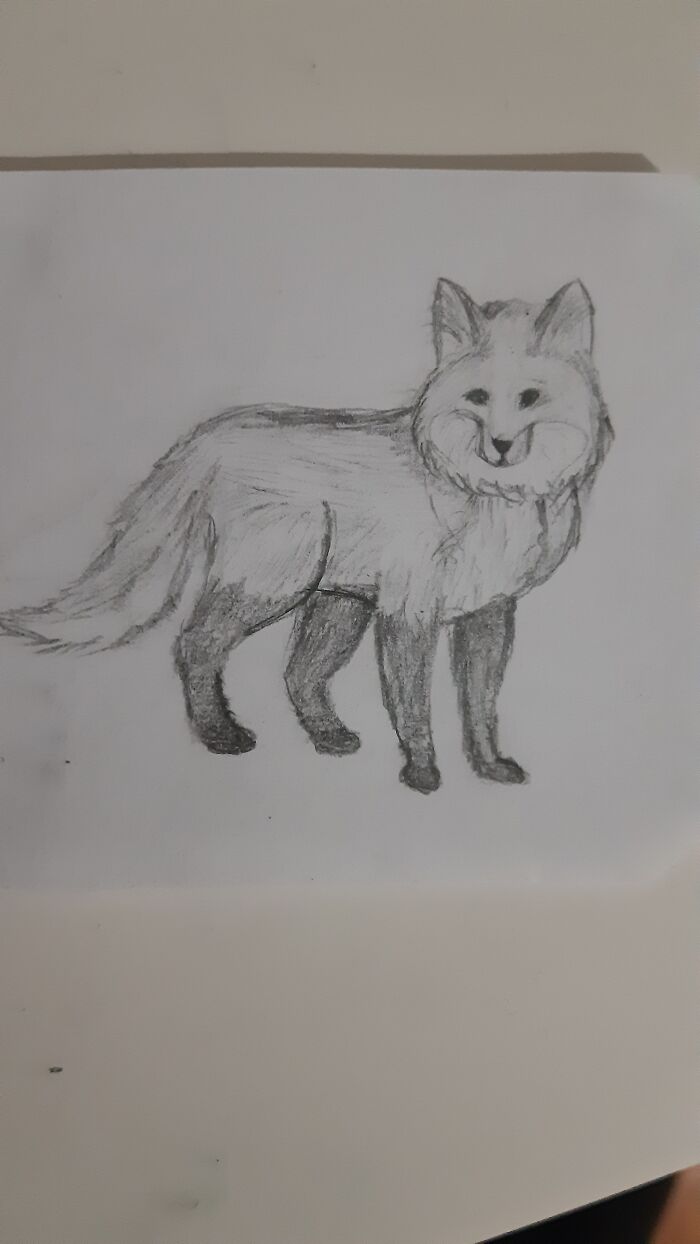 A Foxie